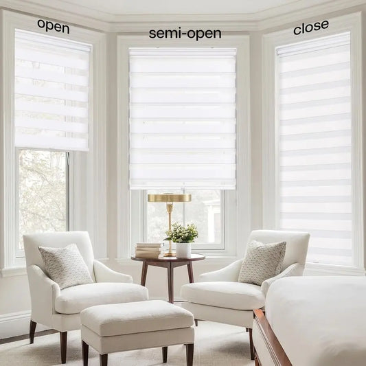 No Tools No Drill Cordless Zebra Blinds for Windows, Dual Layer Light Control for Day and Night, Light Filtering Privacy Roller
