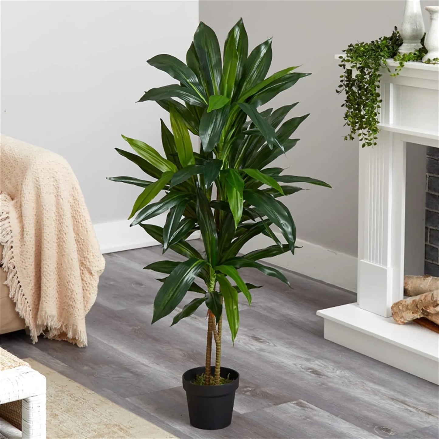 Artificial Dracaena Indoor Plant 120cm Tall with Branches