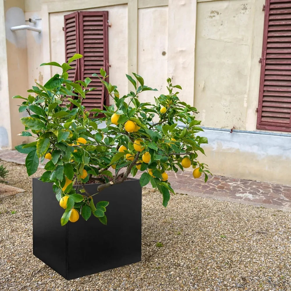 Galvanized Steel Planter Box Indoor Outdoor Durable Flower Pot