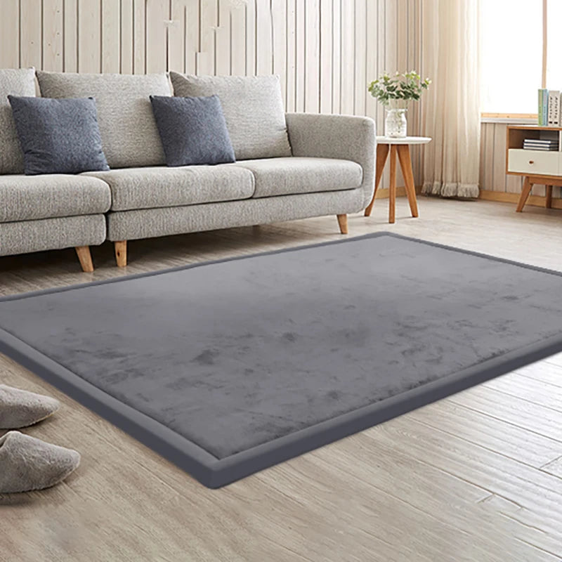 Large Coral Velvet Solid Carpet Living Room Bedroom Bedside Sofa Mat Home Rug Floor Floor Carpet Decoration Mat
